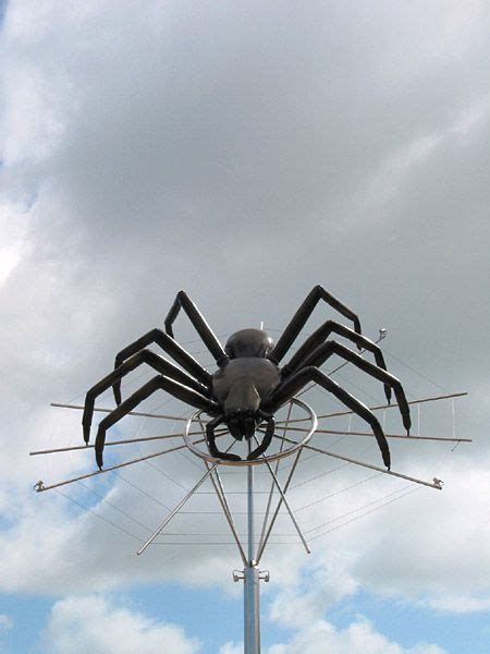 Avondale Spiders, Avondale, Auckland, New Zealand | Avondale, New zealand, Auckland