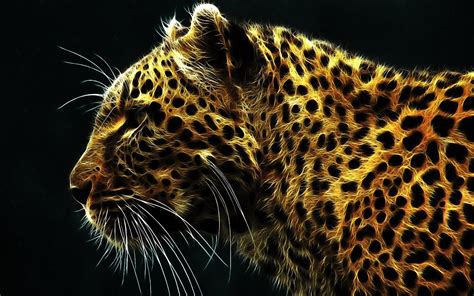 940+ Leopard HD Wallpapers and Backgrounds