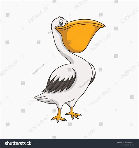 Pelican Vector Illustration Cartoon Clipart Stock Vector (Royalty Free ...