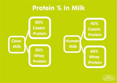 A2 Protein Explained - Beta A2 Professional