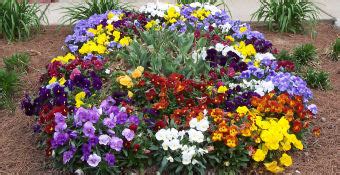 Professional Floriculture Services