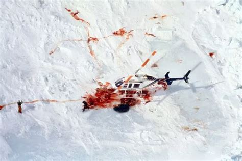 Return of the seal clubbers: Blood stains on the ice as half a million seals face death in cull ...