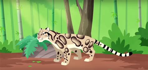 Clouded Leopard | Wild Kratts Wiki | Fandom | Clouded leopard, Wild kratts, Wild cats