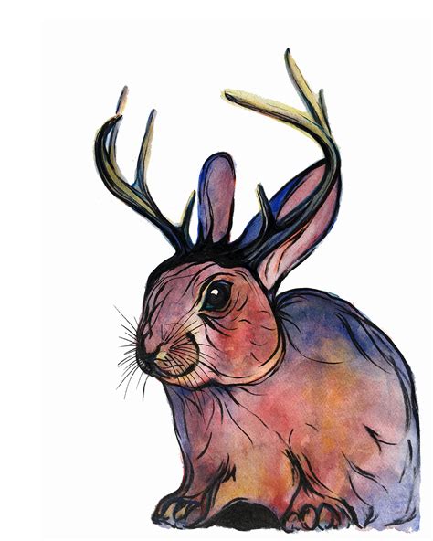 Jackalope Original Print - Tawnya Williams Art