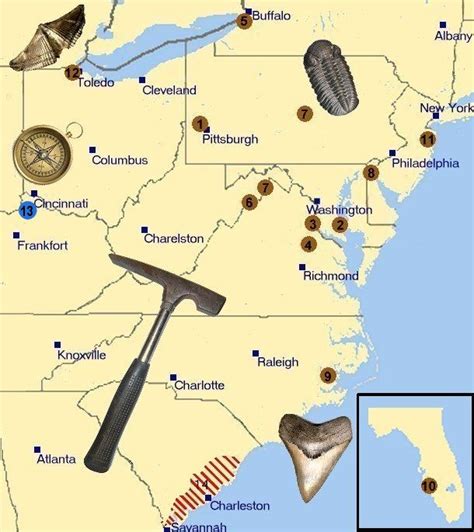 Where to Find Fossils - Fossil Hunting Locations, directions, identification, tips, and fossil ...