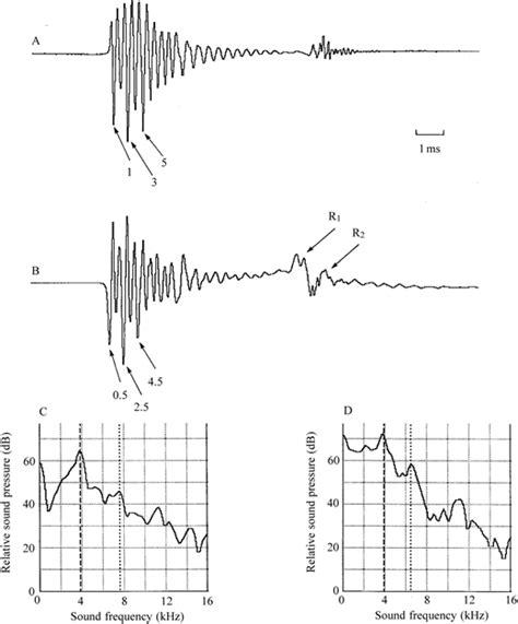 The Role of the Tymbal in Cicada Sound Production | Journal of Experimental Biology | The ...