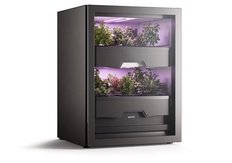 Plantcube: The best Vertical Farm for your Home | Agrilution in 2021 | Vertical farming, Farming ...