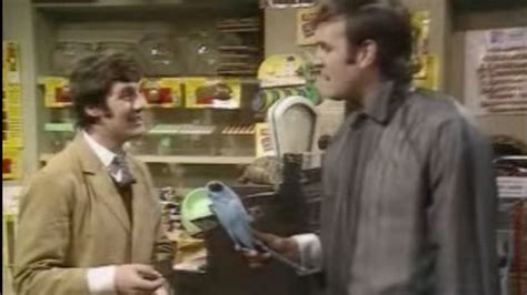 John Cleese Explains the Origin of the Dead Parrot Sketch | Vanity Fair