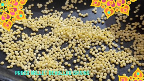 How Proso Millet is Good for You and the Farmers - Millet Advisor