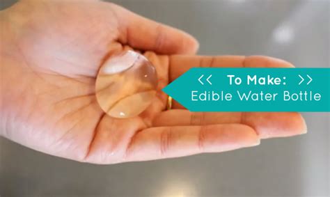 Edible Water Bottle that You Can Make in Your Kitchen