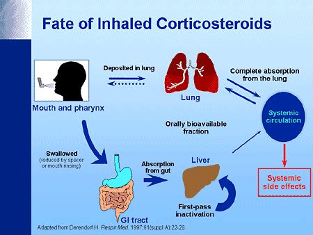 Medical Use of Steroids: All You Need to Know! | Techno FAQ