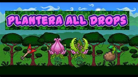 Terraria 3ds All Plantera Drops!! - YouTube