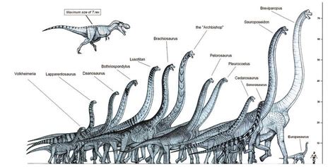 The heaviest dinosaurs - Top 10 | DinoAnimals.com