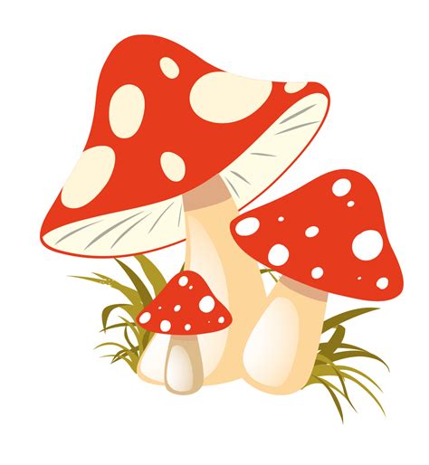 Mushrooms clipart autumn, Mushrooms autumn Transparent FREE for download on WebStockReview 2024