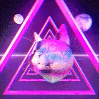 Disco Cat GIFs - Find & Share on GIPHY