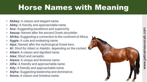 List of Horse Names with Meaning - Pet Names Vocab