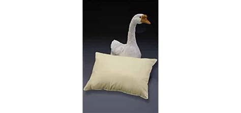 Best Goose Down Pillows - Pillow Click