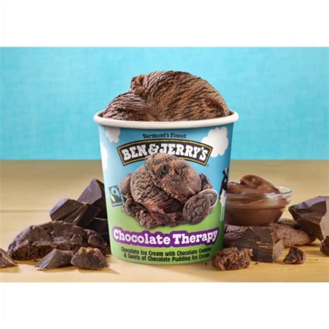 Ben & Jerry's Chocolate Ice Cream Pint, 16 oz - Fry’s Food Stores