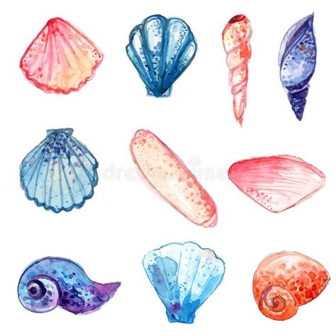 Set of Hand Drawn Watercolor Sea Shells. Colorful Vector Illustrations ...