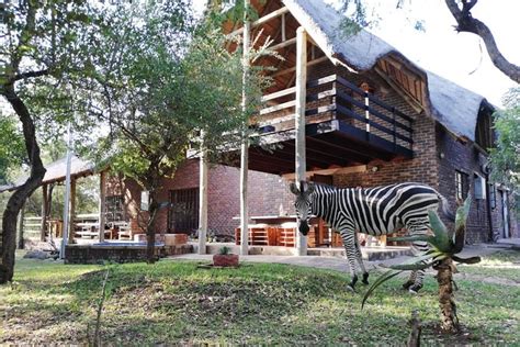 Kruger Park Lodge Safari 2024 - Kruger National Park