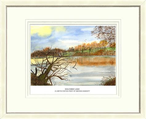 Balcombe Lake - Brenda Barratt