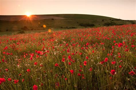 How to Shoot Better Summer Landscape Photography – Photography Revision