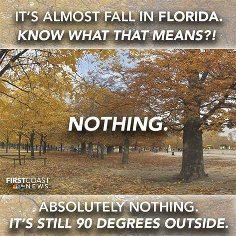 Pin by Lourdes Millan on The Sunshine State | Florida funny, Florida ...