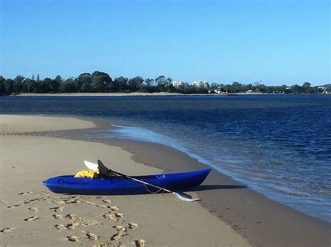 sunshinecoastbirds: Camping at Noosa North Shore