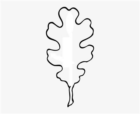 Oak Leaf Silhouette Oak Leaf Clip Art Black And White Png Image | The ...