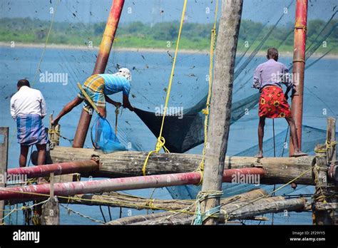 Indian Fishermen, Chinese Fishing Nets, Kochi, Cochin, Kerala, India ...