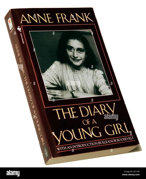 Anne Frank Diary Cover