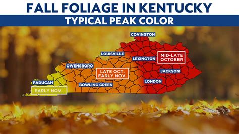 Kentucky Fall Foliage Map 2024 - Abbey Annetta