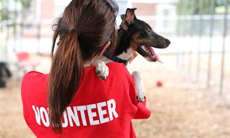 Before You Volunteer, Consider These 5 Things