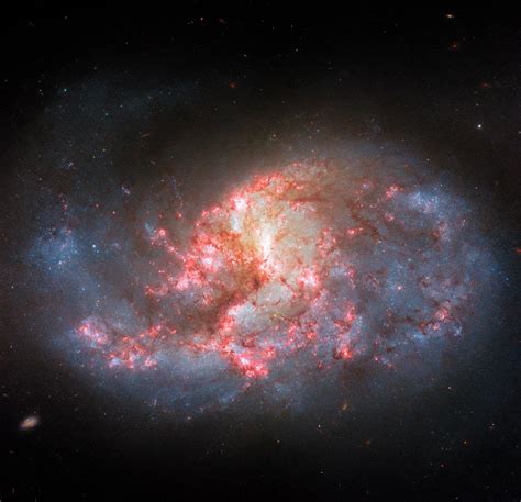 Cosmic Chameleon: Galaxy’s Stunning Transformation by Hubble Filters