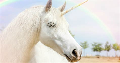 Are Unicorns Real? Here are the facts. - George Lizos: Psychic Healer and Energy Protection Expert