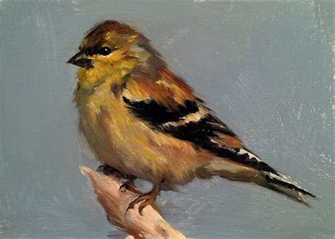 Goldfinch #OilPaintingBirds | Oil painting nature, Watercolor bird, Goldfinch