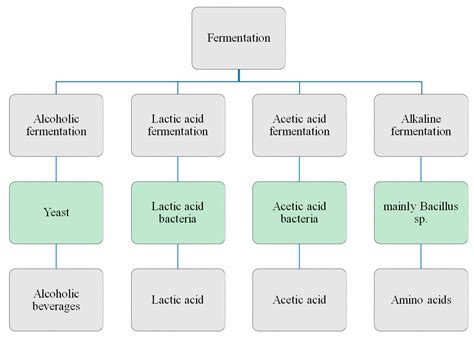 Fermentation | Free Full-Text | Quality Ingredients and Safety Concerns for Traditional ...