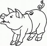 Free Printable Pig Coloring Pages For Kids sketch template
