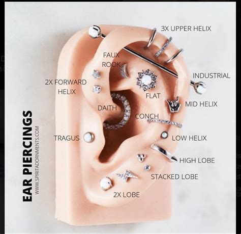 Pin by Angie Clarys💘 on Piercing ideas | Ear piercings chart, Types of ...