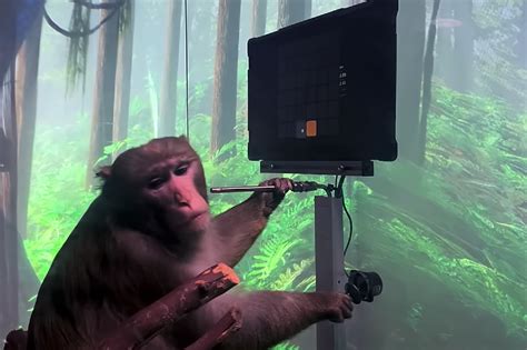 Elon Musk's Neuralink shows monkey playing 'mind Pong'