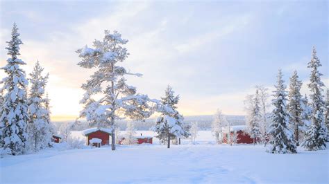 4 Day Independent : Family Winter Adventure in Lapland : Nordic Visitor