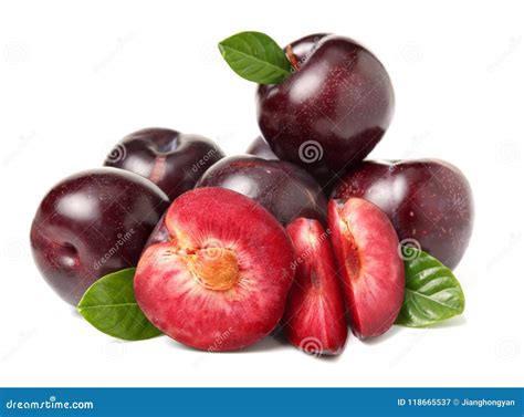 Cherry Plum with Green Leaves Stock Image - Image of isolated, glossy ...