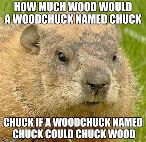 Woodchuck Chucking Wood Commercial