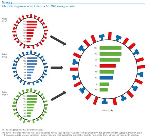 Avian Flu Diary: Eurosurveillance:The Evolving Threat From New, Reassorted H7N9 Viruses