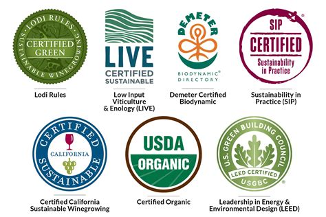 Your Guide to Sustainable Wine Certifications | Wine Enthusiast