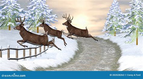 Whitetail Deer Jumping Fence Stock Image | CartoonDealer.com #203528263