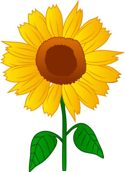 Pretty Golden Sunflower - Free Clip Art