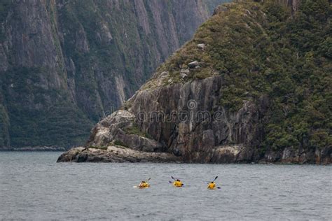 Sea Kayaking in Milford Sound Stock Image - Image of kayaks, zealand ...