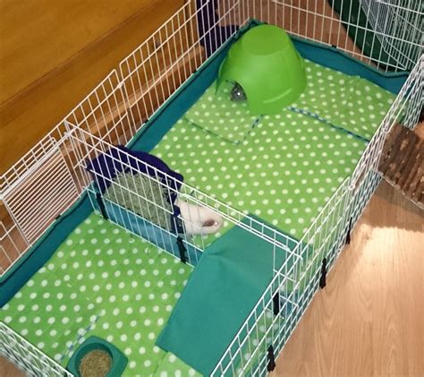 Diy Guinea Pig Bed / Diy Guinea Pig Fleece House Guineapigfans Youtube / When you're ready to ...