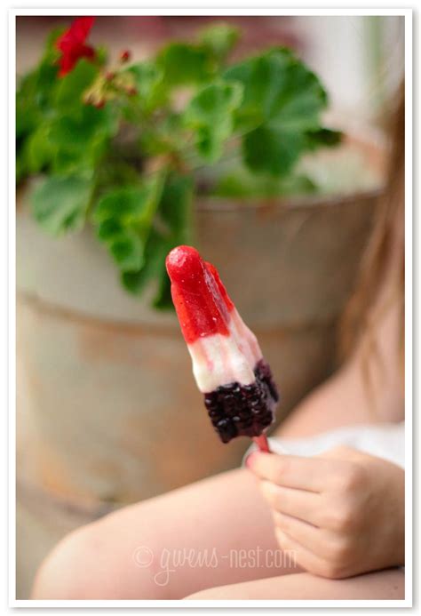 Healthy Rocket Popsicle Recipe - Gwen's Nest